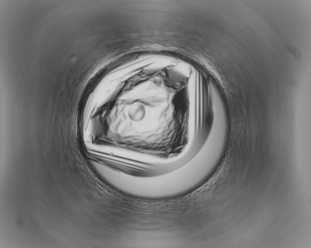 X0000111391173200908071249