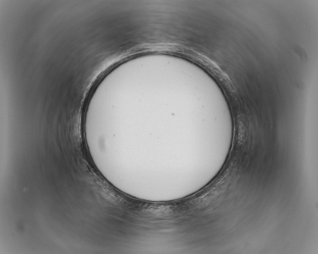 X0000111391174200908071249