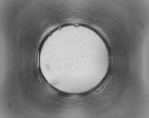 X0000111391175200908071249