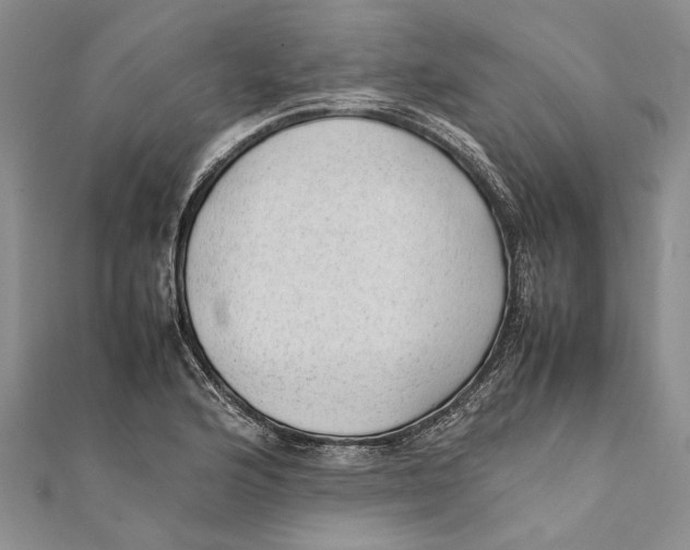 X0000111391176200908071249