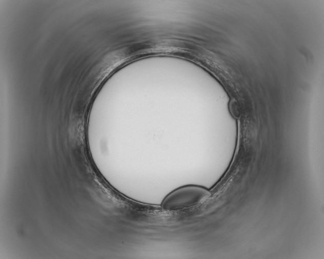 X0000111391177200908071249
