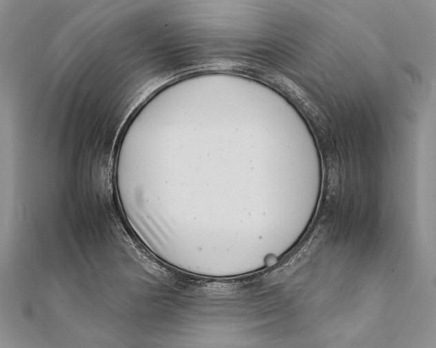 X0000111391178200908071249