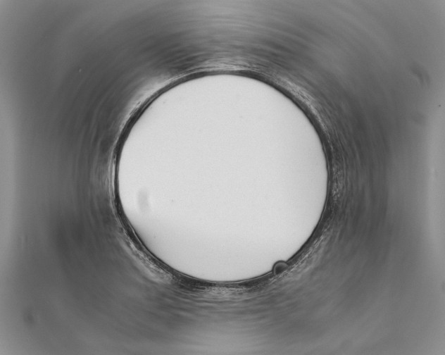 X0000111391179200908071249