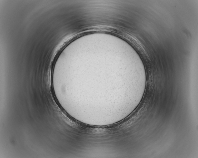 X0000111391180200908071249