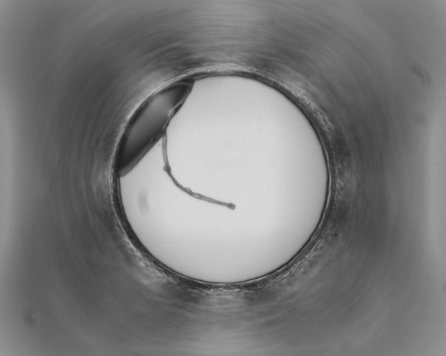 X0000111391181200908071249