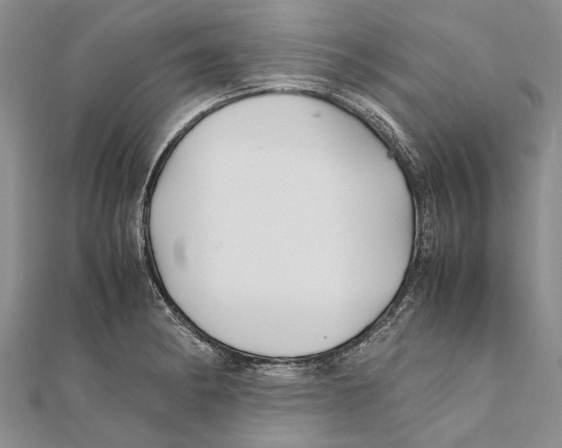 X0000111391182200908071249