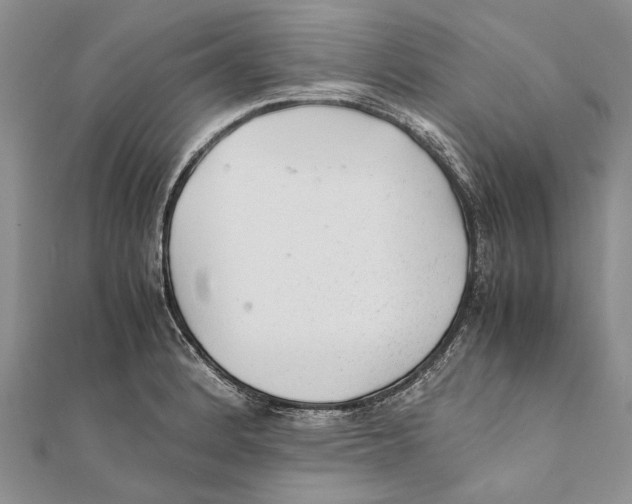 X0000111391184200908071249