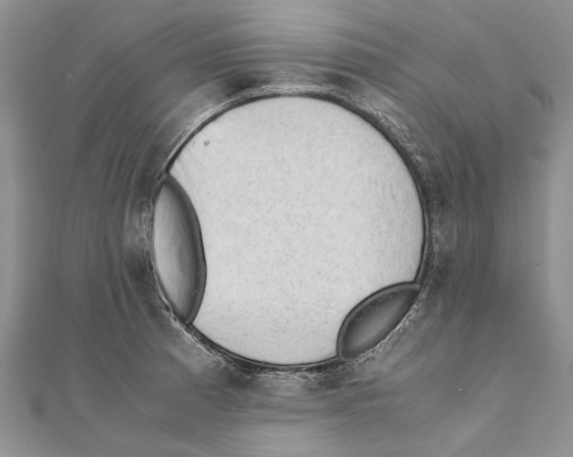 X0000111391185200908071249