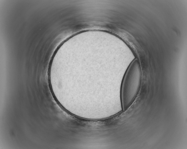 X0000111391189200908071249