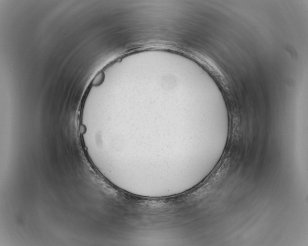 X0000111391190200908071249
