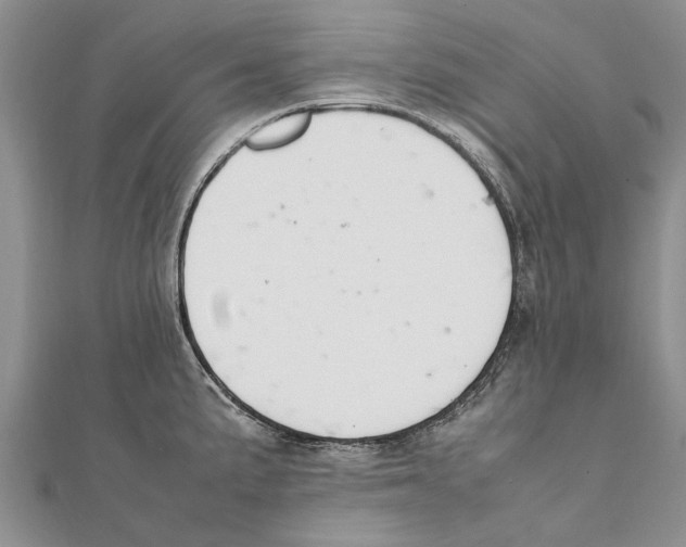 X0000111391191200908071249