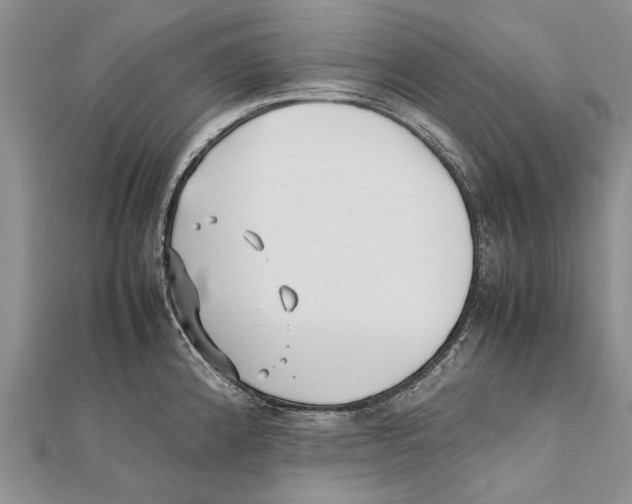 X0000111391192200908071249
