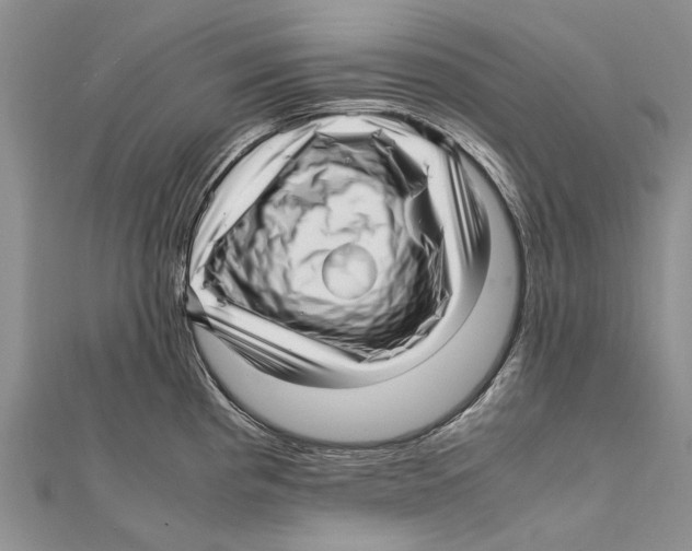 X0000111391193200908071249