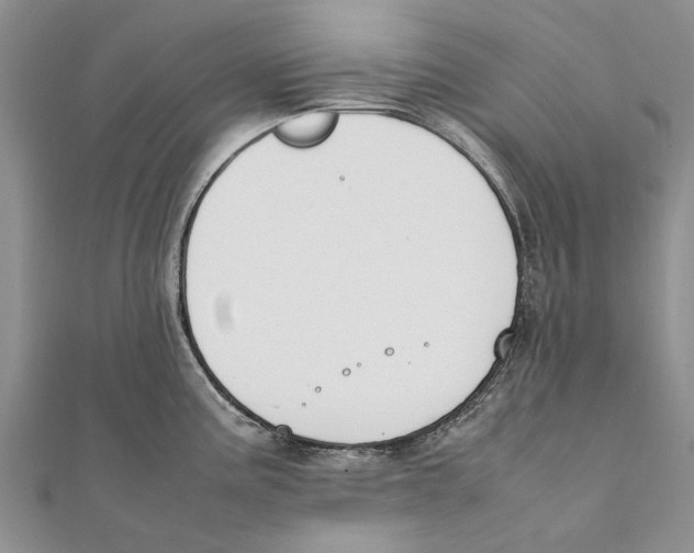 X0000111391195200908071249