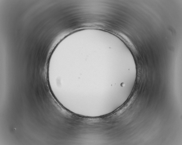 X0000111391196200908071249
