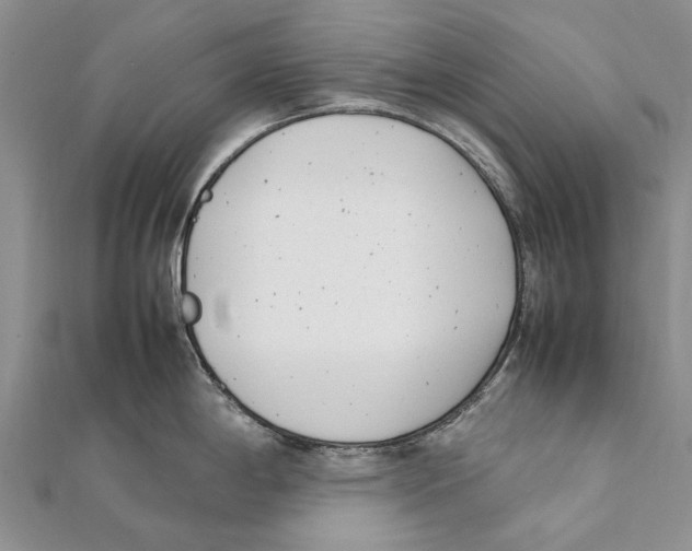 X0000111391198200908071249
