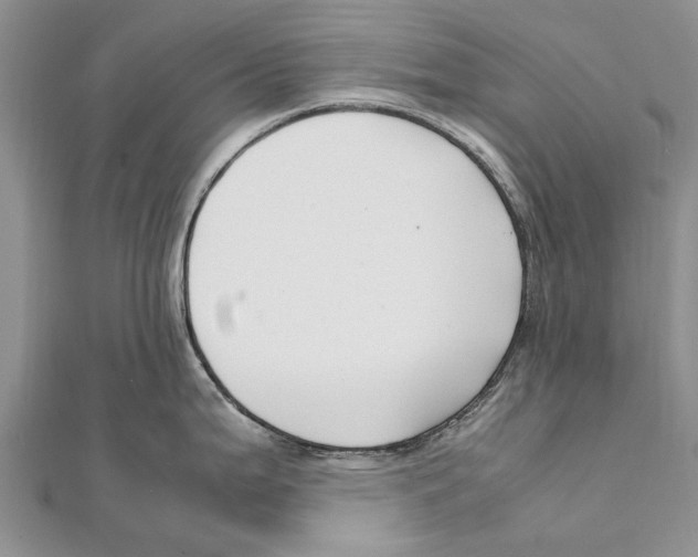 X0000111391199200908071249