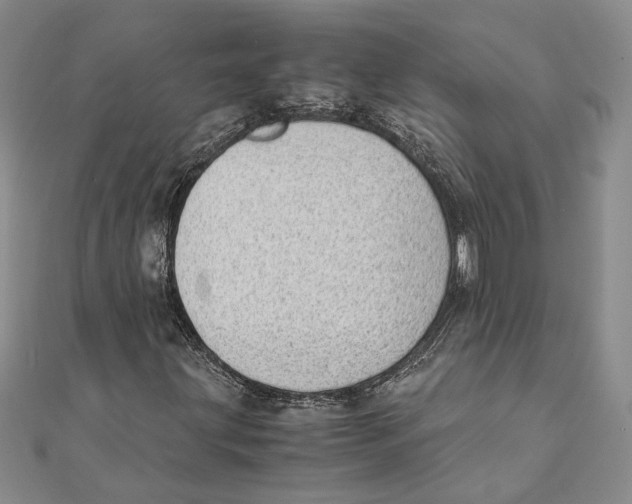 X0000111391203200908071248
