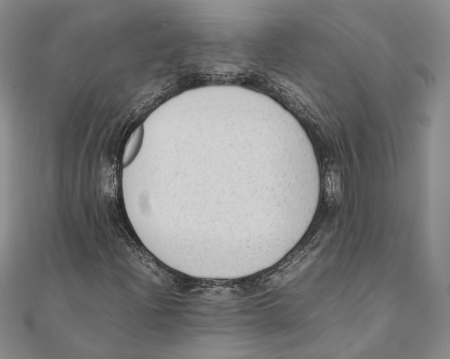 X0000111391204200908071248