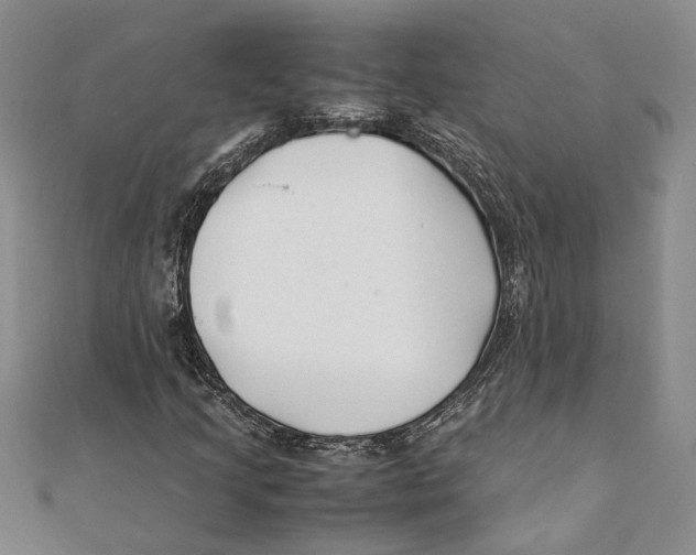 X0000111391205200908071248