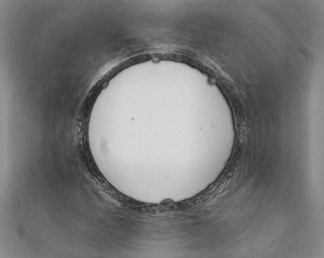 X0000111391208200908071248