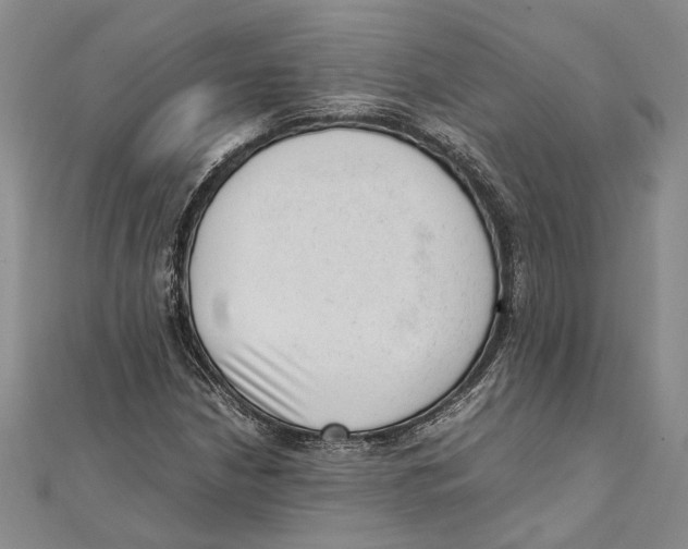 X0000111391210200908071248