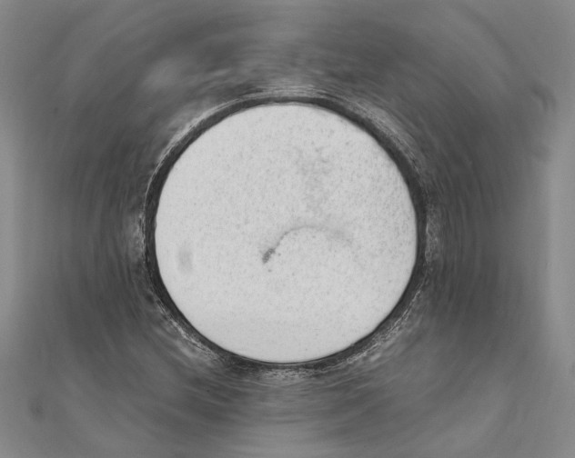 X0000111391212200908071248