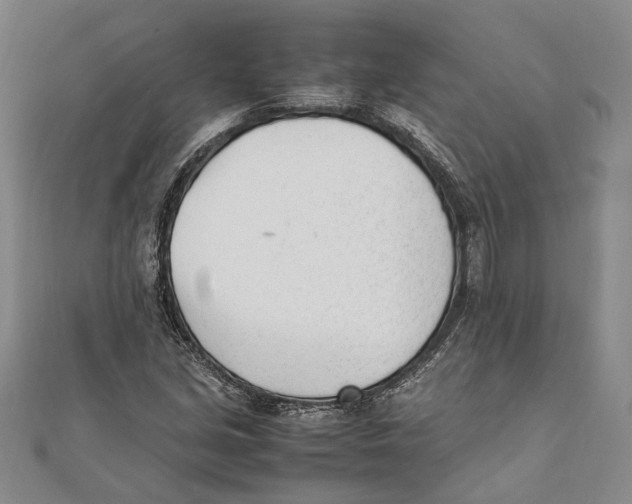 X0000111391213200908071248