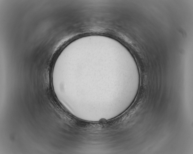 X0000111391214200908071248