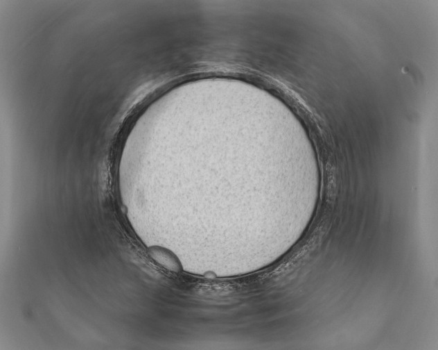 X0000111391215200908071248