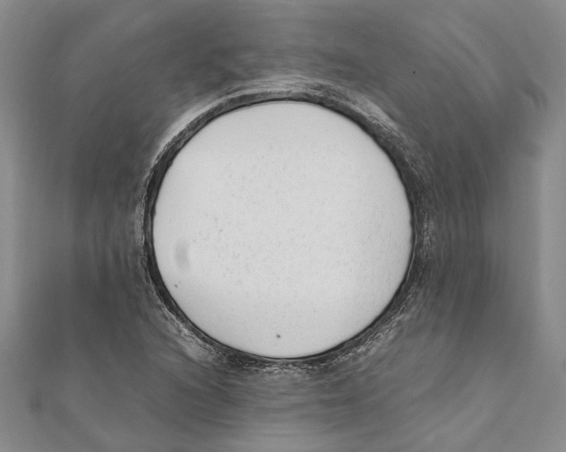 X0000111391216200908071249
