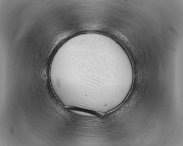 X0000111391218200908071249