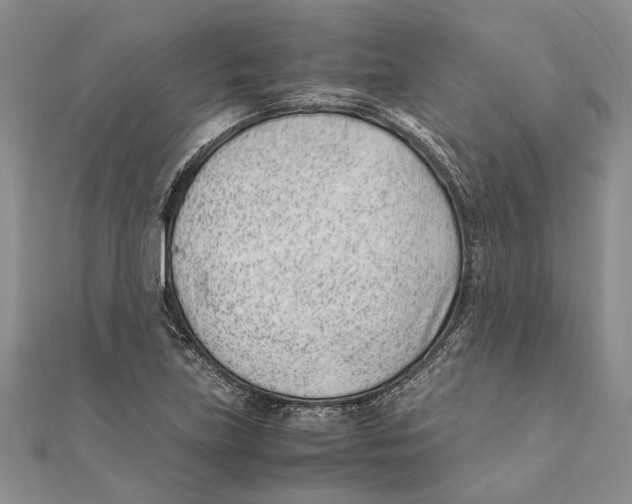 X0000111391219200908071249