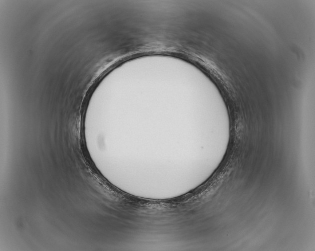 X0000111391220200908071249