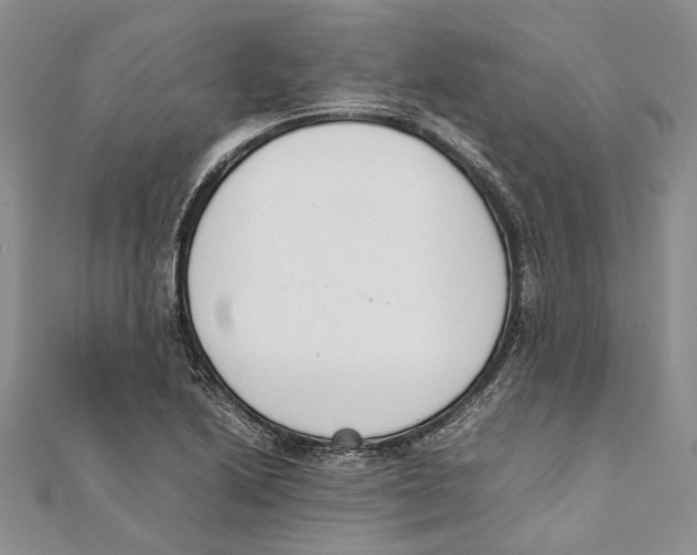 X0000111391222200908071249