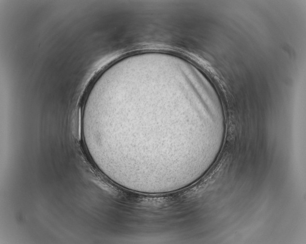 X0000111391223200908071249