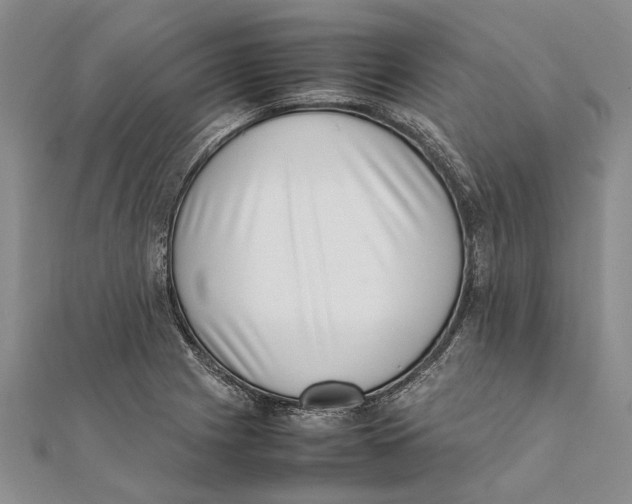 X0000111391225200908071249