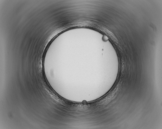 X0000111391226200908071249