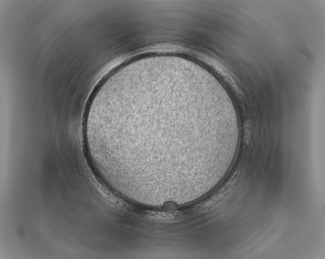 X0000111391229200908071249