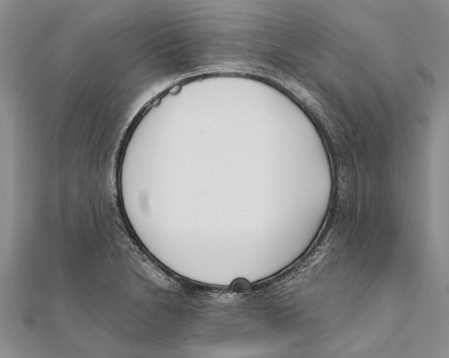 X0000111391230200908071249