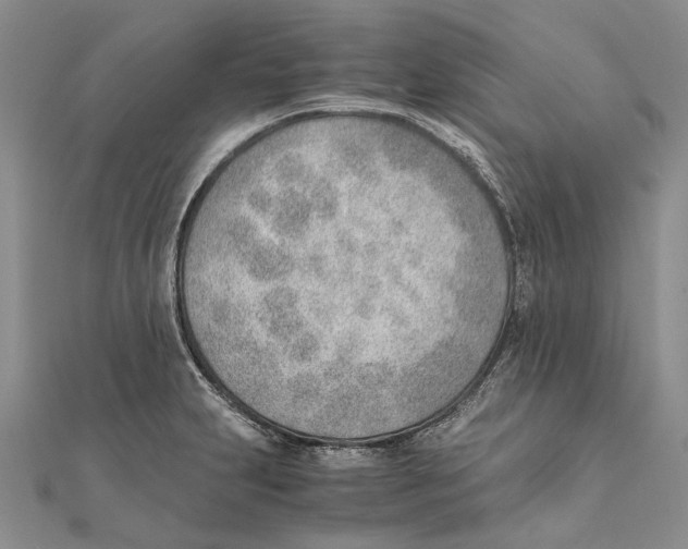 X0000111391231200908071249