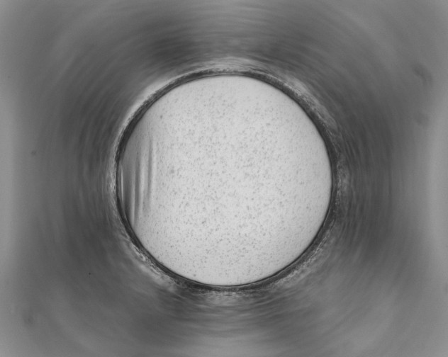 X0000111391232200908071249