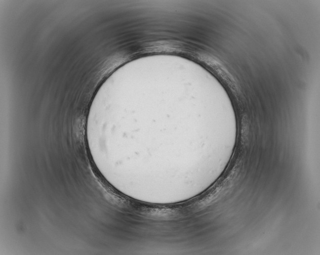 X0000111391233200908071249