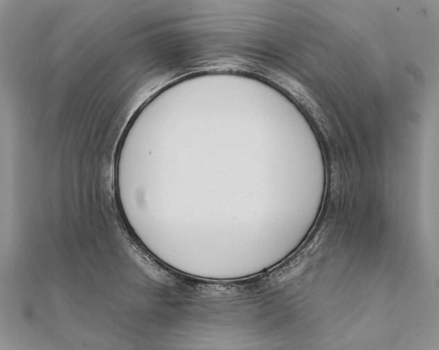 X0000111391234200908071249