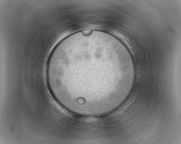 X0000111391235200908071249