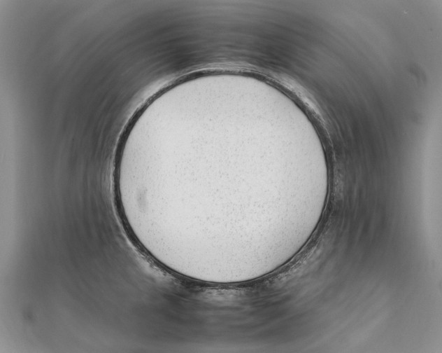 X0000111391237200908071249
