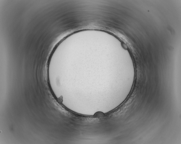 X0000111391238200908071249