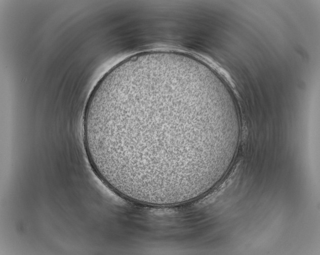 X0000111391239200908071249