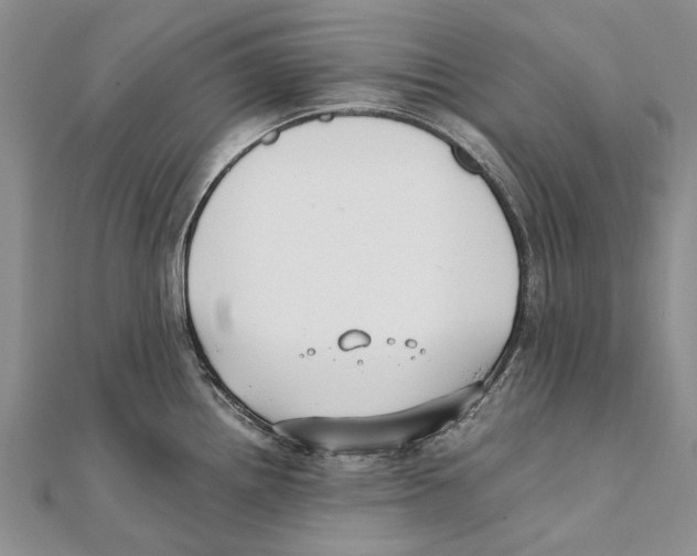 X0000111391242200908071249