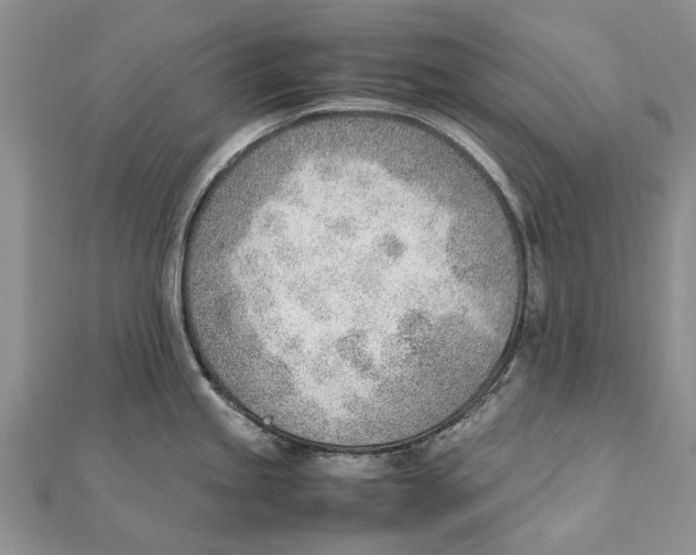 X0000111391245200908071249